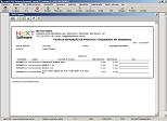 NeXT ERP Programa Empresarial Ficha de Separação de estoque
