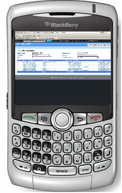 NeXT Web ERP Blackberry